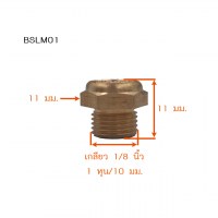 BSLM01 วัดไซต์